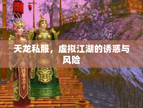 天龙私服，虚拟江湖的诱惑与风险
