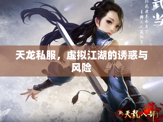 天龙私服，虚拟江湖的诱惑与风险
