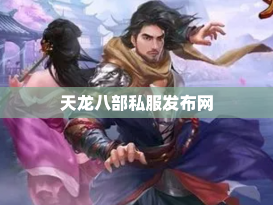 天龙八部私服发布网