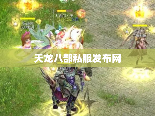 天龙八部私服发布网