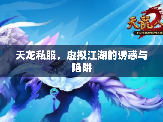 天龙私服，虚拟江湖的诱惑与陷阱
