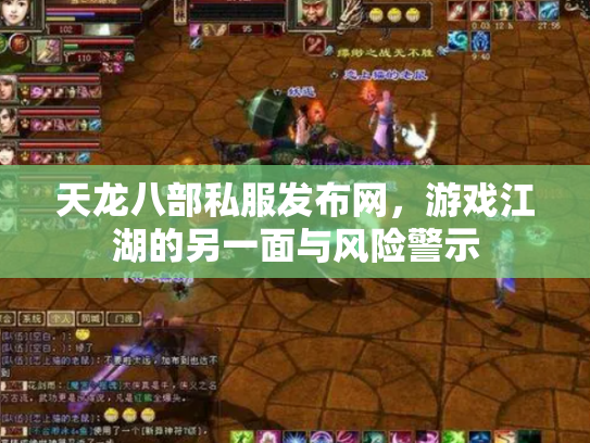 天龙八部私服发布网，游戏江湖的另一面与风险警示