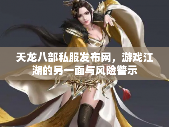 天龙八部私服发布网，游戏江湖的另一面与风险警示