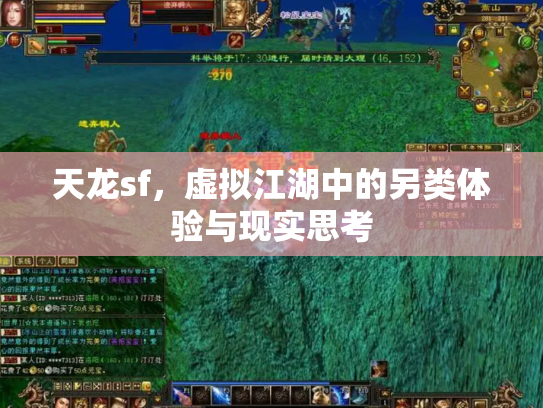 天龙sf，虚拟江湖中的另类体验与现实思考