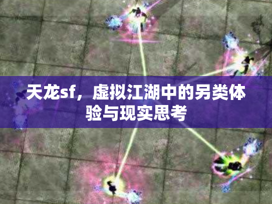 天龙sf，虚拟江湖中的另类体验与现实思考
