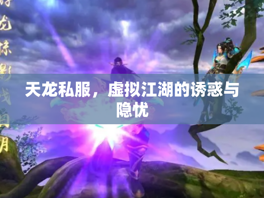 天龙私服，虚拟江湖的诱惑与隐忧