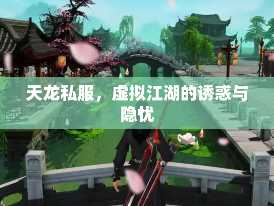 天龙私服，虚拟江湖的诱惑与隐忧
