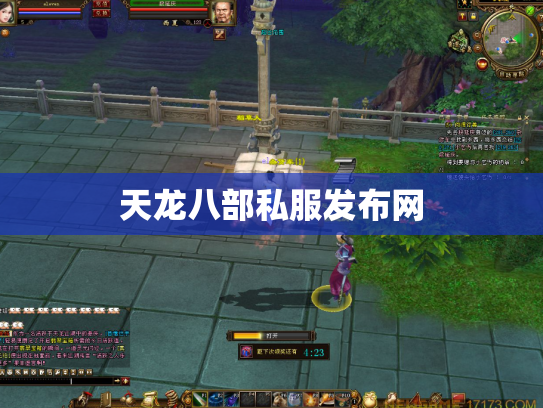 天龙八部私服发布网