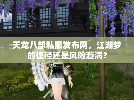 天龙八部私服发布网，江湖梦的捷径还是风险漩涡？