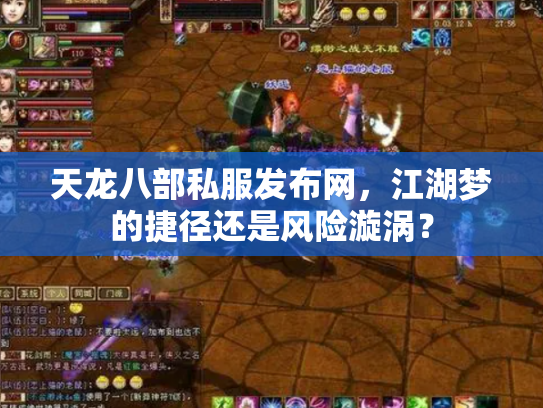 天龙八部私服发布网，江湖梦的捷径还是风险漩涡？