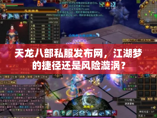 天龙八部私服发布网，江湖梦的捷径还是风险漩涡？