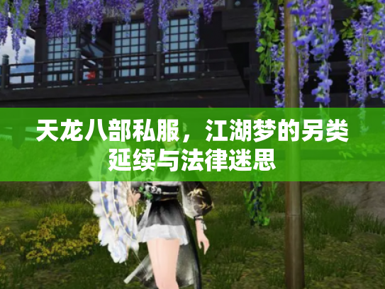 天龙八部私服，江湖梦的另类延续与法律迷思