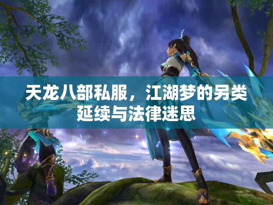 天龙八部私服，江湖梦的另类延续与法律迷思