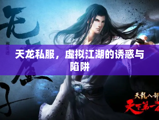 天龙私服，虚拟江湖的诱惑与陷阱