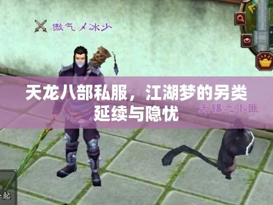 天龙八部私服，江湖梦的另类延续与隐忧