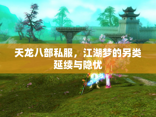 天龙八部私服，江湖梦的另类延续与隐忧