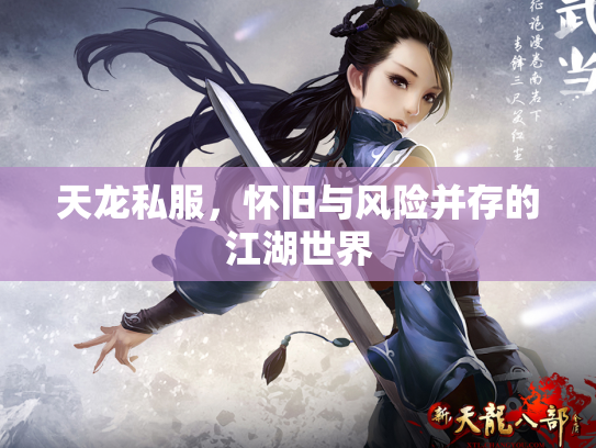 天龙私服，怀旧与风险并存的江湖世界