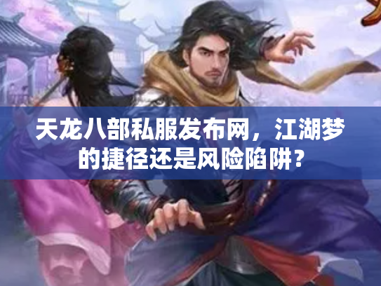 天龙八部私服发布网，江湖梦的捷径还是风险陷阱？