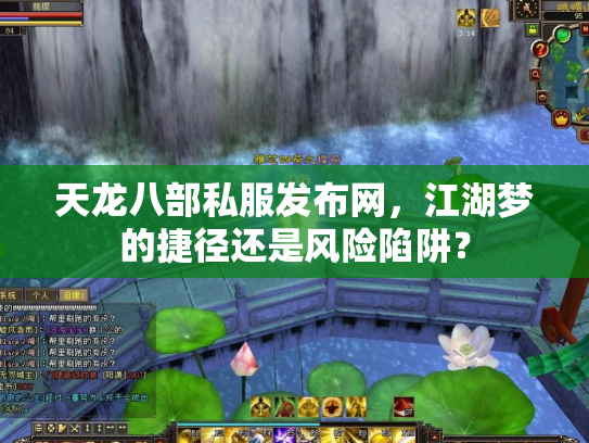 天龙八部私服发布网，江湖梦的捷径还是风险陷阱？
