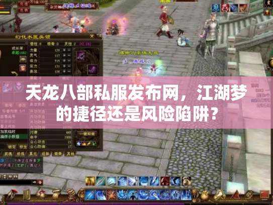 天龙八部私服发布网，江湖梦的捷径还是风险陷阱？
