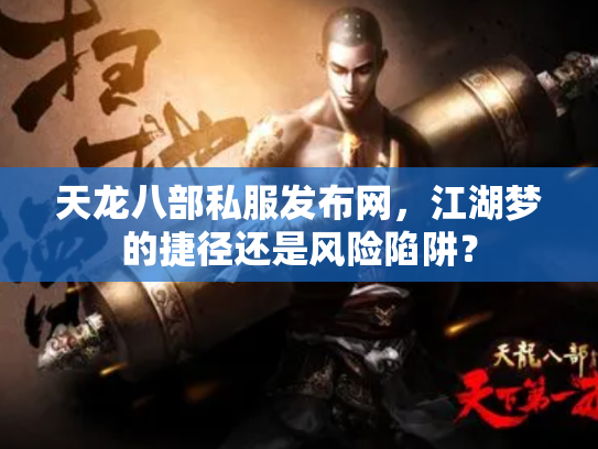 天龙八部私服发布网，江湖梦的捷径还是风险陷阱？