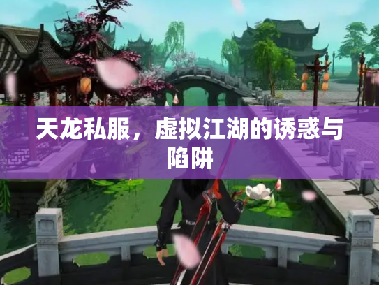 天龙私服，虚拟江湖的诱惑与陷阱