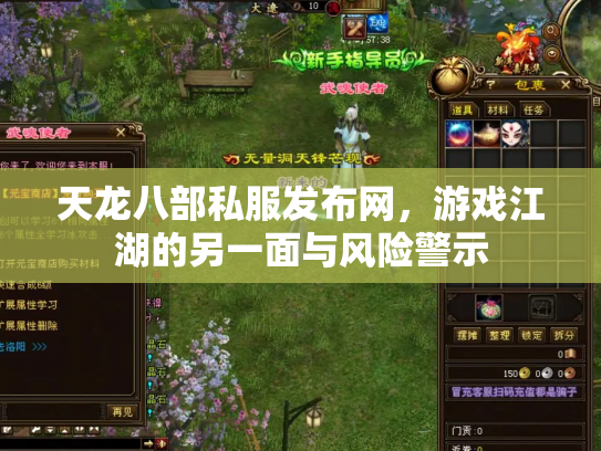 天龙八部私服发布网，游戏江湖的另一面与风险警示