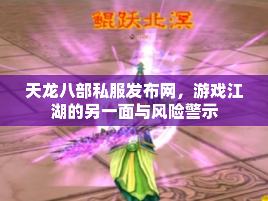 天龙八部私服发布网，游戏江湖的另一面与风险警示