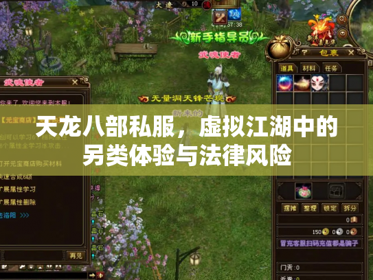 天龙八部私服，虚拟江湖中的另类体验与法律风险