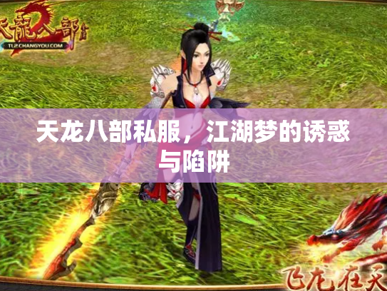 天龙八部私服，江湖梦的诱惑与陷阱