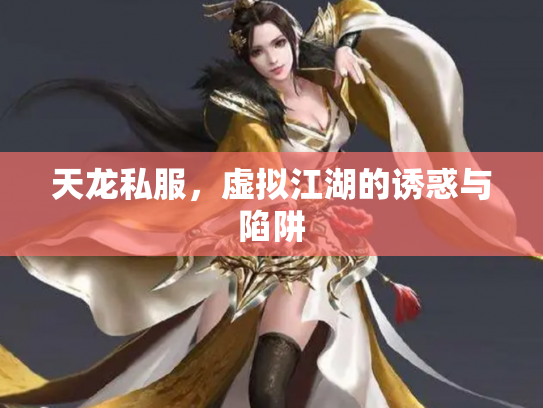 天龙私服，虚拟江湖的诱惑与陷阱