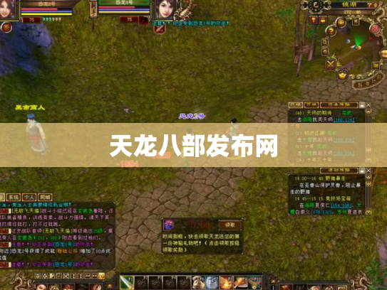 天龙八部发布网