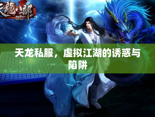 天龙私服，虚拟江湖的诱惑与陷阱