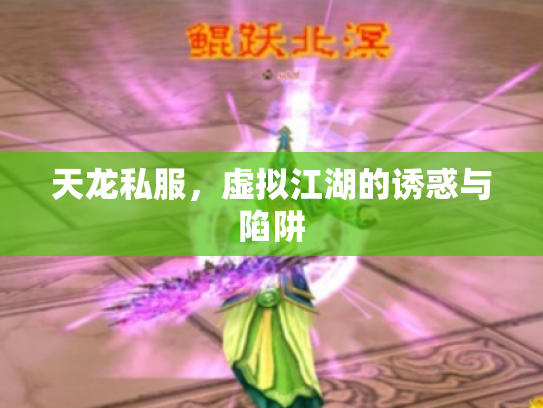 天龙私服，虚拟江湖的诱惑与陷阱