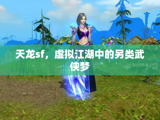 天龙sf，虚拟江湖中的另类武侠梦
