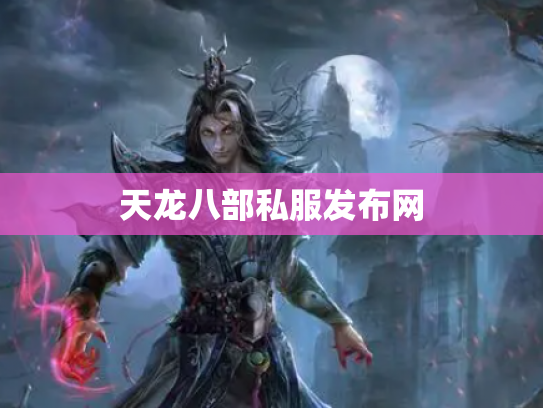 天龙八部私服发布网