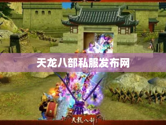 天龙八部私服发布网