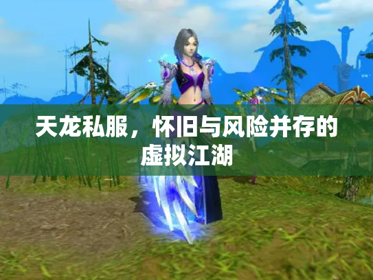 天龙私服，怀旧与风险并存的虚拟江湖