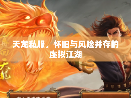 天龙私服，怀旧与风险并存的虚拟江湖