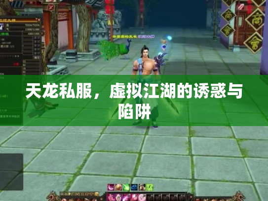 天龙私服，虚拟江湖的诱惑与陷阱