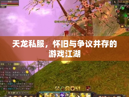 天龙私服，怀旧与争议并存的游戏江湖