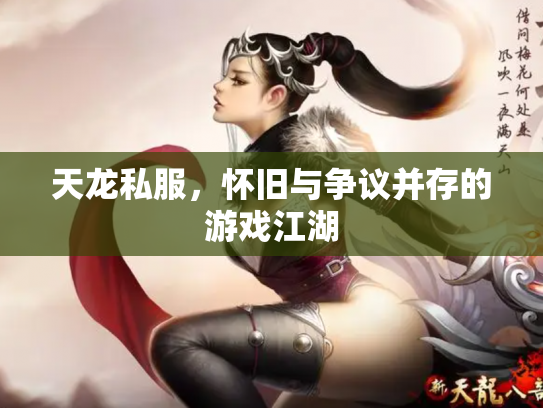 天龙私服，怀旧与争议并存的游戏江湖