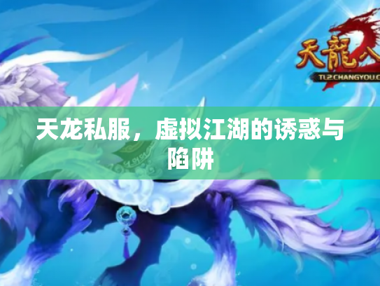 天龙私服，虚拟江湖的诱惑与陷阱