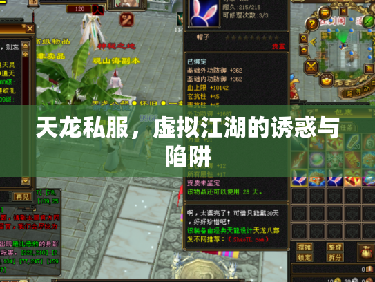 天龙私服，虚拟江湖的诱惑与陷阱