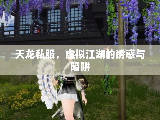 天龙私服，虚拟江湖的诱惑与陷阱