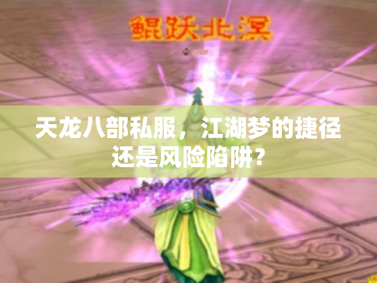 天龙八部私服，江湖梦的捷径还是风险陷阱？
