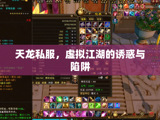 天龙私服，虚拟江湖的诱惑与陷阱