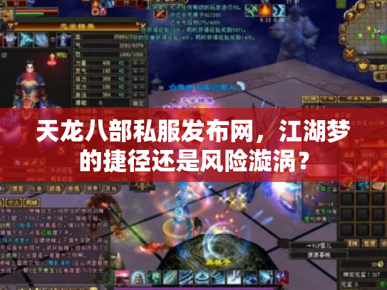 天龙八部私服发布网，江湖梦的捷径还是风险漩涡？