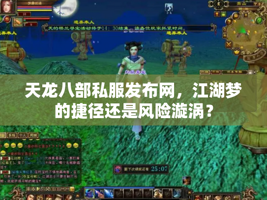 天龙八部私服发布网，江湖梦的捷径还是风险漩涡？