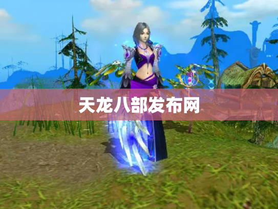 天龙八部发布网